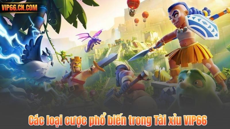 Các loại cược phổ biến trong Tài xỉu VIP66