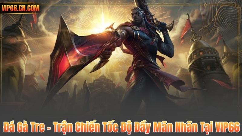 Đá Gà Tre – Trận Chiến Tốc Độ Đầy Mãn Nhãn Tại VIP66 2 Đá Gà Tre – Trận Chiến Tốc Độ Đầy Mãn Nhãn Tại VIP66