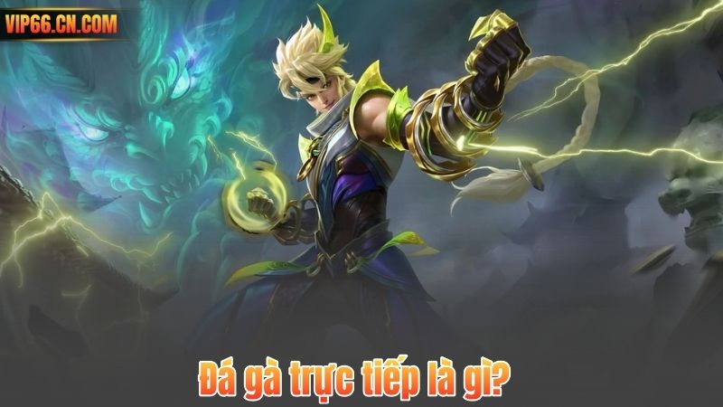 Đá gà trực tiếp là gì?