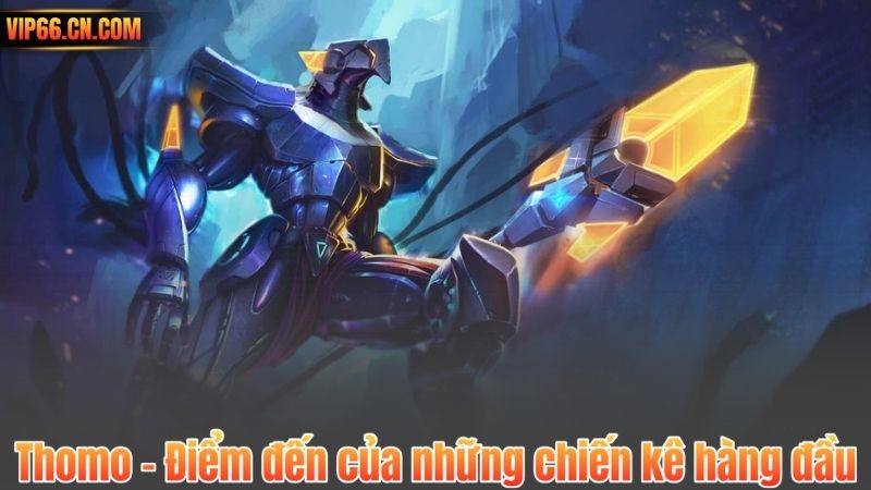 Thomo - Điểm đến của những chiến kê hàng đầu